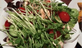 外国人吃伊丽莎白瓜视频,惊艳味蕾体验