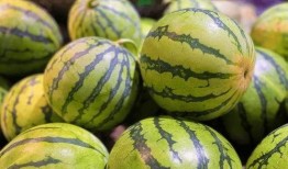 生瓜蛋子吃货视频大全,畅游美食世界，尽享味蕾盛宴