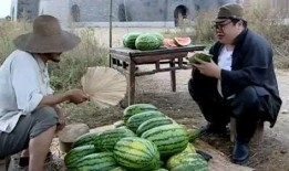 黑网吃瓜视频,网络暗流涌动的娱乐真相