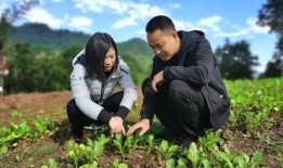 草坝镇吃瓜事件视频,一场引发热议的网络狂欢