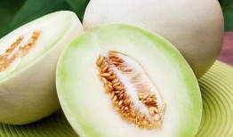 南方人吃白兰瓜好吗视频,风味独特，美味可口