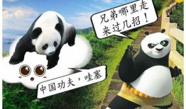 搞笑吃瓜熊猫人视频大全,笑料横生！熊猫吃瓜达人搞笑视频大盘点