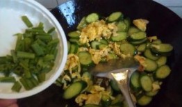 猫吃炒小瓜吗会死吗视频,揭秘潜在致命风险