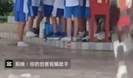 珠海校园吃瓜事件视频,揭秘校园内幕风波
