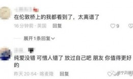 饭店吃瓜事件视频,一场意外引发的舆论风波