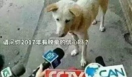 卧槽吃瓜视频完整,揭秘娱乐圈幕后真相，带你领略明星们的真实生活