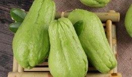 网红吃佛手瓜视频大全,佛手瓜美食盛宴，视频大全带你领略美味瞬间