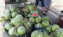 泰禾家园吃瓜事件视频,邻里纠纷视频曝光，真相引发热议