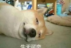 带你吃瓜一条视频,带你揭秘“带你吃瓜”视频背后的热点事件