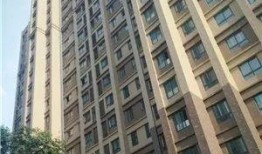 中央华府吃瓜事件视频,一场网络热议的幕后真相揭秘