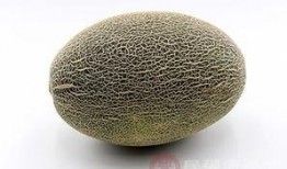 鸵鸟喜欢吃哈密瓜吗视频,哈密瓜成新宠