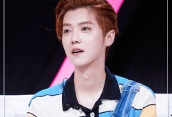 鹿晗最新吃瓜事件视频在线观看,视频揭秘幕后真相