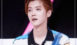 鹿晗最新吃瓜事件视频在线观看,视频揭秘幕后真相