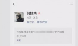 何婧婧吃瓜的视频,揭秘娱乐圈幕后故事