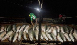 渔民围观吃瓜视频大全集,视频大全集揭秘海上奇闻轶事