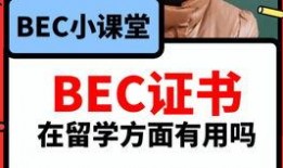 吃瓜爆料短视频下载,下载背后的秘密与技巧