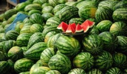 长花纹瓜怎么吃才好吃视频