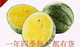 麒麟瓜黄肉可以吃吗视频,揭秘可食用之谜