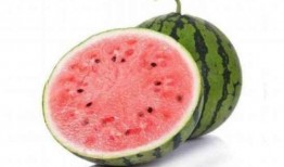 宁夏人吃麒麟瓜好吗视频,当地人美味分享，品尝宁夏风情