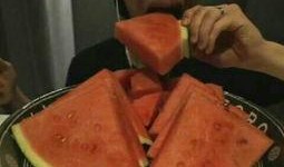 吃瓜嚼东西的视频大全集