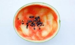 从哪吃瓜有原视频