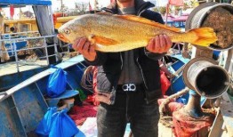 渔民围观吃瓜视频大全集,视频大全集揭秘海上奇闻轶事