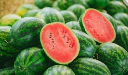 七米永久吃瓜视频,揭秘娱乐圈幕后真相