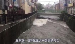 台风吃瓜的视频,吃瓜群众如何应对？