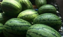 阳光尚都吃瓜的视频,揭秘网红小区的幕后故事