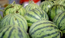 广州新农人吃瓜视频大全,趣味吃瓜视频大盘点