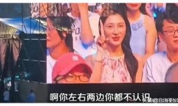 直播鉴宝吃瓜是真的吗视频,揭秘网络红人背后的真相