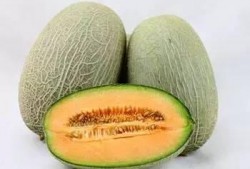 大小杨哥吃哈密瓜视频,甜蜜滋味，欢乐共享