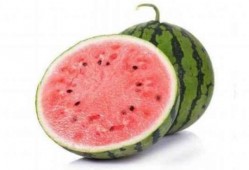 老外吃麒麟瓜的视频,品尝中国夏日特色水果