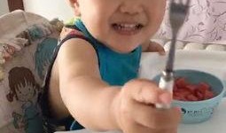 宝宝吃瓜照片视频,宝宝吃瓜萌态瞬间回顾