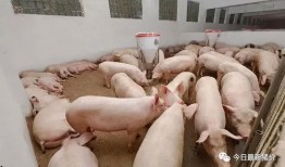 吃瓜吃出牙签怎么处理视频