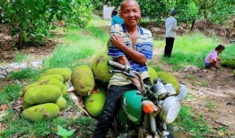 广州新农人吃瓜视频大全,趣味吃瓜视频大盘点