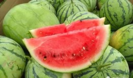 南宁今日吃瓜事件视频最新,一场引发热议的街头冲突瞬间