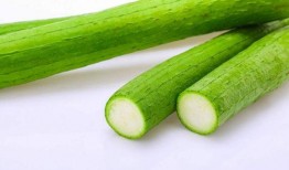 蜜瓜适合老人吃吗视频