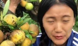 翠花表姐吃佛手瓜视频播放,视频播放引关注