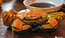 大瓜吃大螃蟹视频播放,视频播放背后的热门现象解析