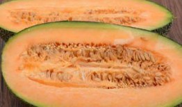 正畸人吃哈密瓜好吗视频,美味与健康的完美结合