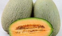 吃哈密瓜讲电影的故事视频,一部电影中的甜蜜启示录