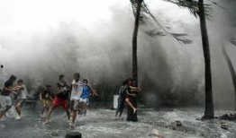 台风吃瓜的视频,吃瓜群众如何应对？