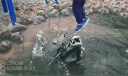 网络吃瓜被群殴视频,一场虚拟与现实冲突的警示