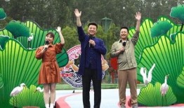 临夏最近吃瓜事件视频,一场网络热议背后的真相揭秘