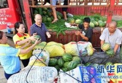 河南洛阳吃瓜事件视频,一场网络热议背后的真相揭秘