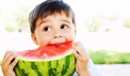 吃瓜记的视频大全,揭秘热门视频背后的精彩故事