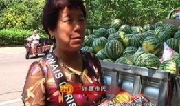 云南热心吃瓜群众视频大全,趣味横生的云南生活剪影