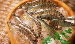 虾虾纯吃瓜视频