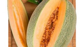 小兔子吃羊角蜜瓜视频,羊角蜜瓜美食之旅